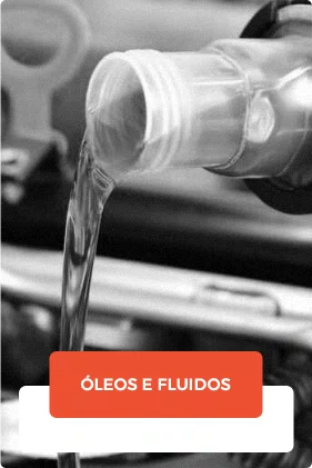 Óleos e Fluidos