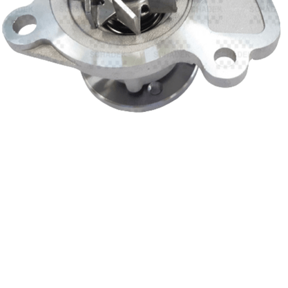 Bomba D'agua Renault/nissan Livina March Versa Captur Duster Logan Oroch Sandero - Schadek