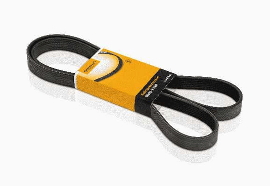 Correia Alternador Gm  Montana  Agile