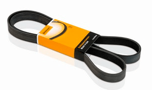 Correia Alternador Peugeot/renault  Clio