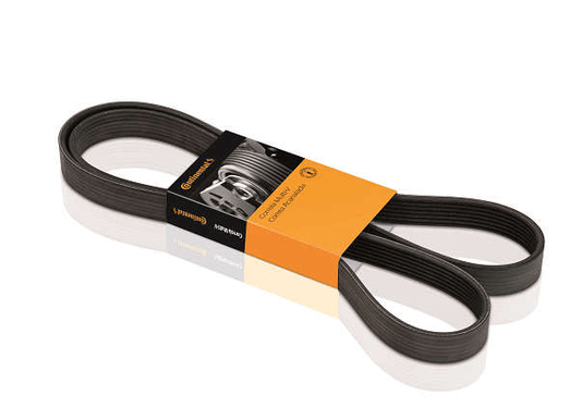 Correia Alternador Peugeot/renault Logan Sandero 