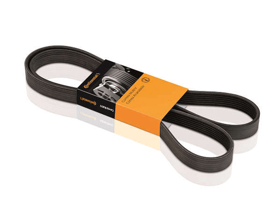 Correia Elastica Citroen/land Rover/nissan/renault Xantia  Sentra