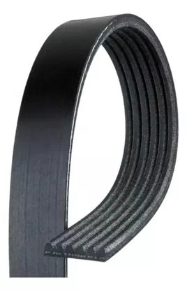 Correia Poly V Alternador Siena Palio 96 97 98 99 0 01 02 03