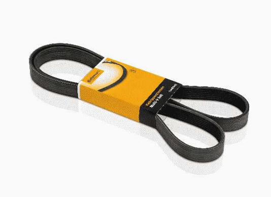 Correia Poly V Renault Duster Kangoo Sandero 