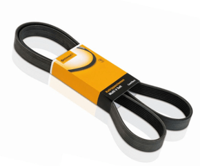 Correia Alt. Ba Cpa Dir Hid Fiesta  Ecosport Courier  