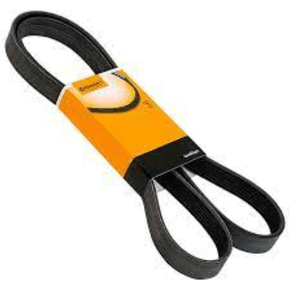 Correia Alternador Alfa Romeo/ford/gm/jeep Spider Focus  Mondeo