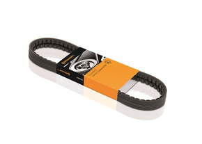 Correia Alternador Audi