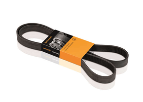 Correia Alternador Audi/citroen/ford/gm/hyundai Fiesta  Focus