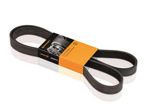 Correia Alternador Audi/fiat/peugeot/renault/vw Palio Siena  Laguna