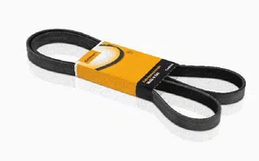 CORREIA ALTERNADOR BMW