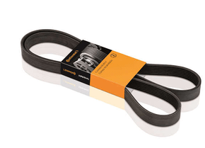 Correia Alternador Bmw/honda/hyundai/kia/subaru