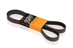 Correia Alternador Citroen/gm/kia/peugeot