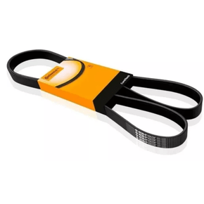 Correia Alternador Elastica Gm  Agile 1.4 8v 2009...