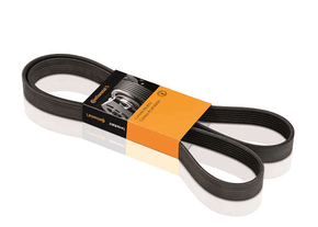 Correia Alternador  Fiat/ Hyunday/ Kia  Brava  Doblo  Palio