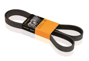 Correia Alternador Fiat/vw Ducato Furgão Polo Classic