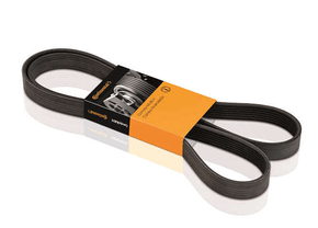 Correia Alternador Ford Focus Nova Ecosport