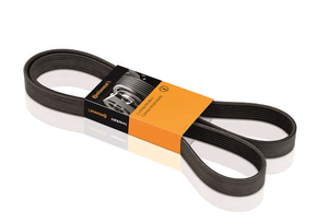 Correia Alternador Ford/honda/nissan Fiesta  Frontier