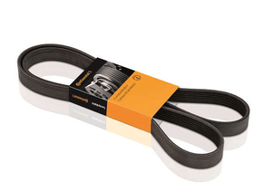 Correia  Alternador Ford/landrover/mercedes Scape  Focus  Mondeo