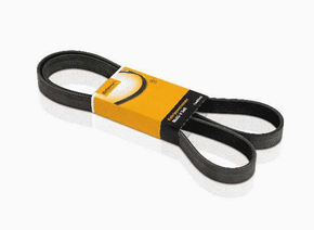 Correia Alternador Nissan Pathfinder Frontier 