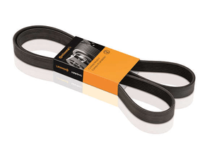 Correia Elastica Alfa Romeo/citroen/fiat/peugeot