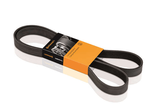 Correia Elastica Citroen/land Rover/nissan/renault Xantia  Sentra