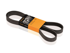 Correia Elastica Citroen/land Rover/nissan/renault Xantia  Xsara 