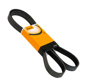 Correia Elastica Volvo  Momentum  Cross Country