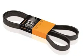 CORREIA MULTI V AGILE 2009/2014 MONTANA 2009/2010 ALT/DH
