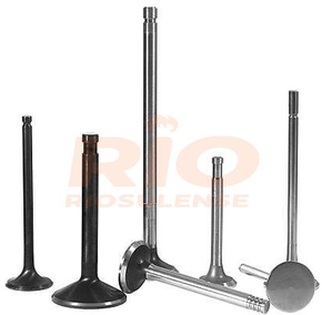 Valvula De Escape Citroen/peugeot