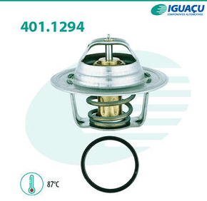 Válvula Termostática Audi/seat/volkswagen A3 A4 A6 Cordoba Ibiza Bora Golf Passat Polo 2.0 Iguaçu - 401129487
