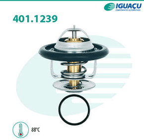 Válvula Termostática Ford Escort Focus Mondeo Verona Iguaçu - 401123988