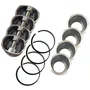 KIT ANÉIS + PISTÕES DE MOTOR + CAMISA C3 207 206 2003 A 2016 TAKAO RIOSULENSE