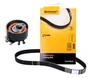 KIT CORREIA DENTADA NISSAN/PEUGEOT/RENAULT